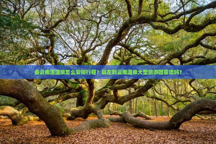 崇左去云南温泉大型旅游团