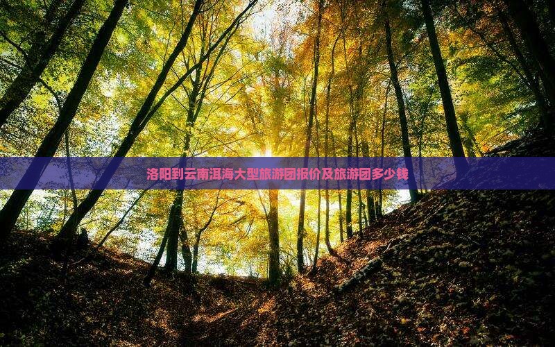 洛阳到云南洱海大型旅游团
