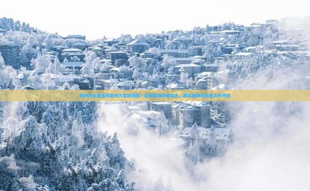 株洲去云南西双版纳大型旅游团