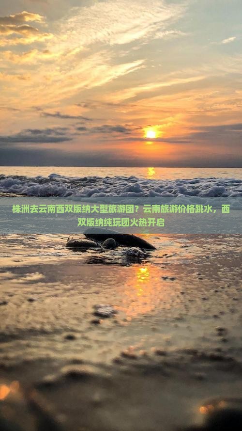 株洲去云南西双版纳大型旅游团