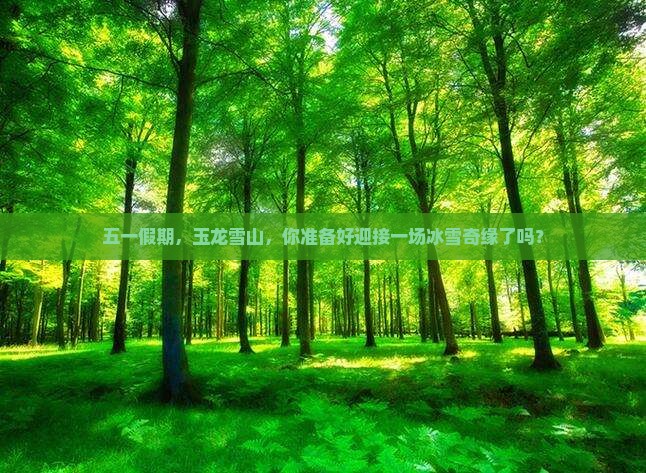 劳动节到云南玉龙雪山景点