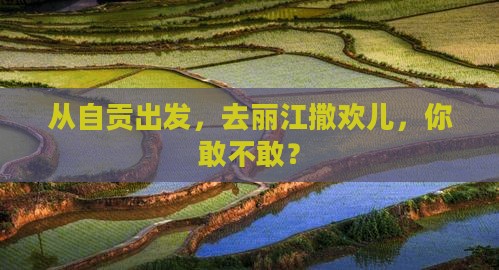 自贡去云南丽江个人游