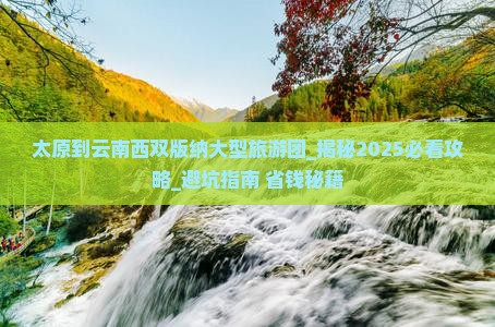 太原到云南西双版纳大型旅游团