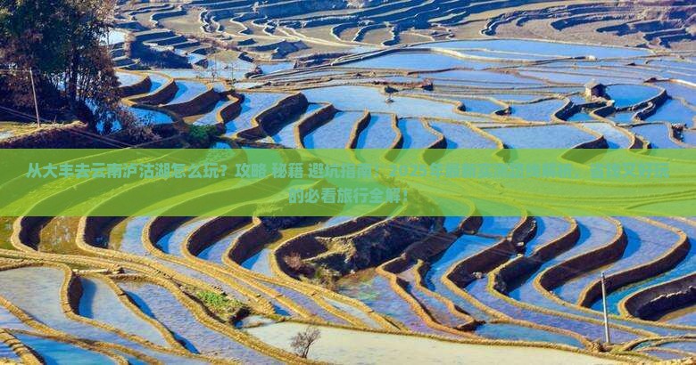 大丰去云南泸沽湖哪里玩