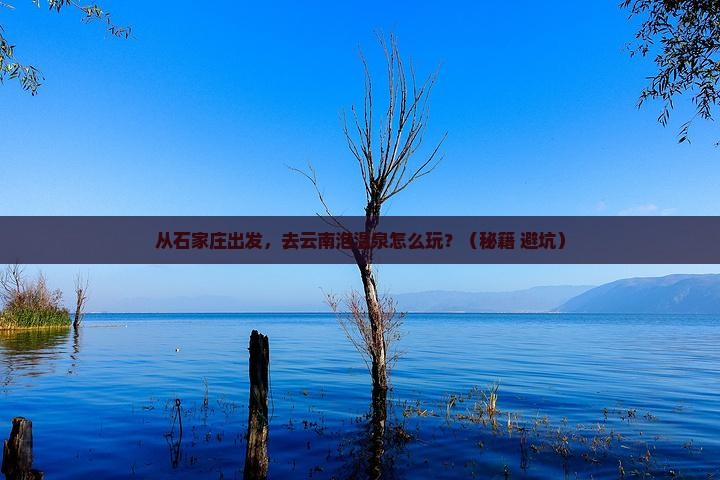 石家庄去云南温泉景点