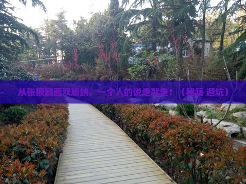 张掖到云南西双版纳个人游
