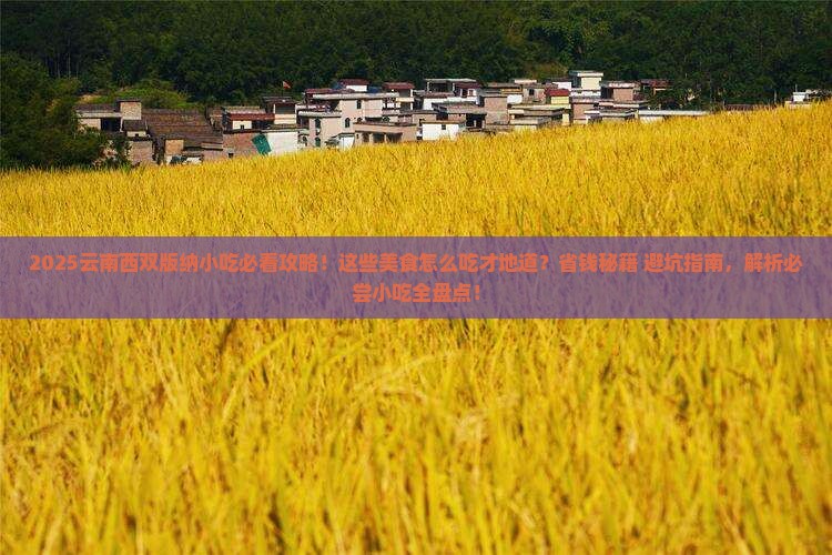 七月到云南西双版纳旅游小吃