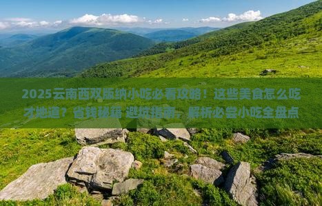 七月到云南西双版纳旅游小吃
