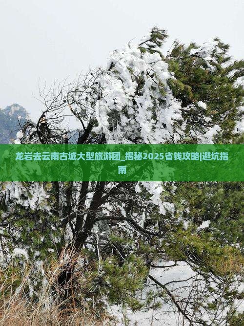 龙岩去云南古城大型旅游团