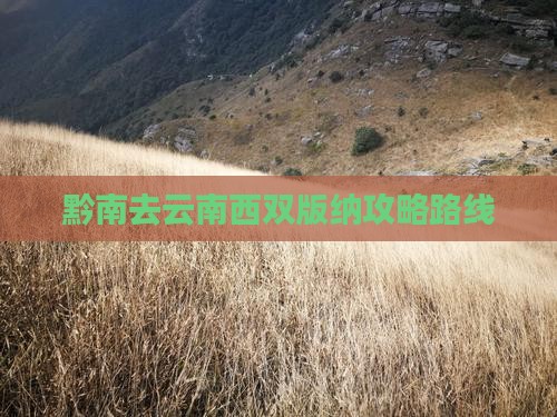 黔南去云南西双版纳攻略