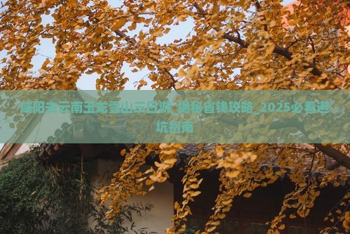 咸阳去云南玉龙雪山三日游