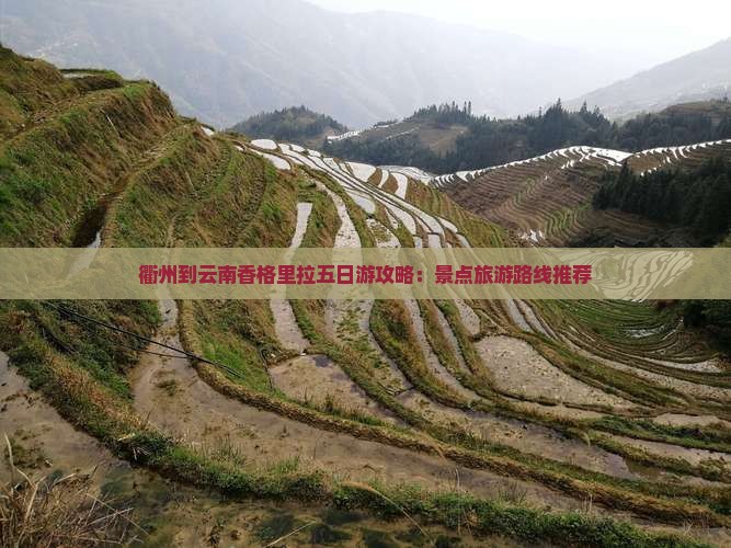 衢州到云南香格里拉五日游