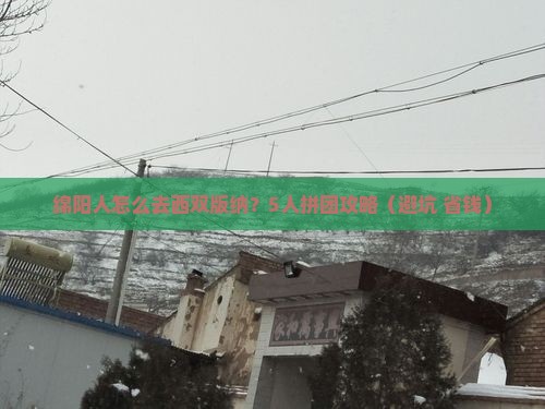绵阳到云南西双版纳团体旅游