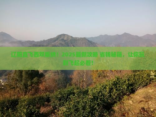 辽阳去云南西双版纳景点