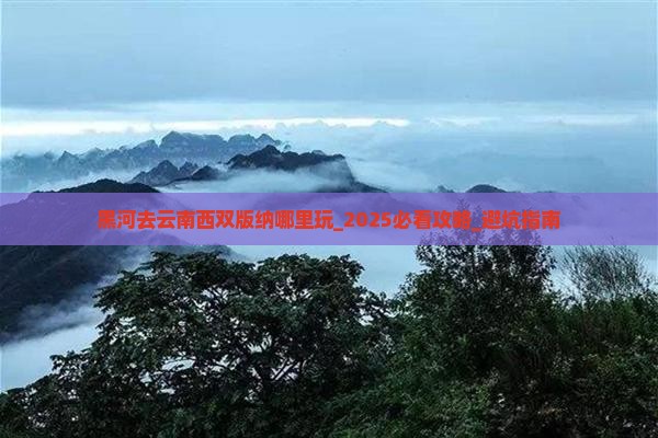 黑河去云南西双版纳哪里玩