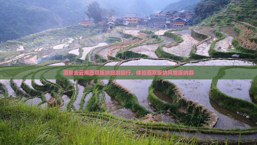 酒泉去云南西双版纳旅行社