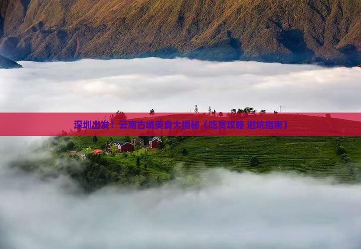 深圳到云南古城旅游小吃