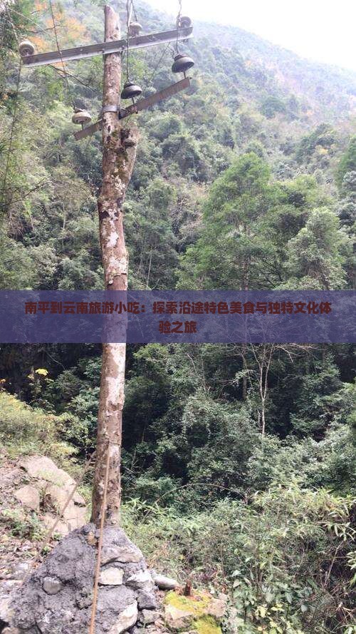 南平到云南旅游小吃