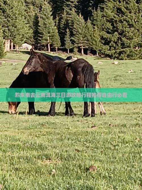 黔东南去云南洱海三日游