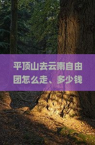 平顶山去云南自由团
