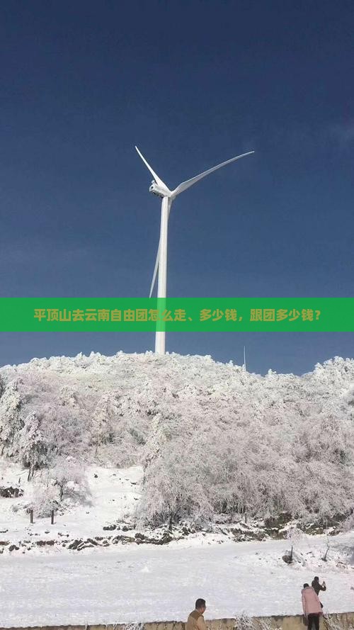 平顶山去云南自由团