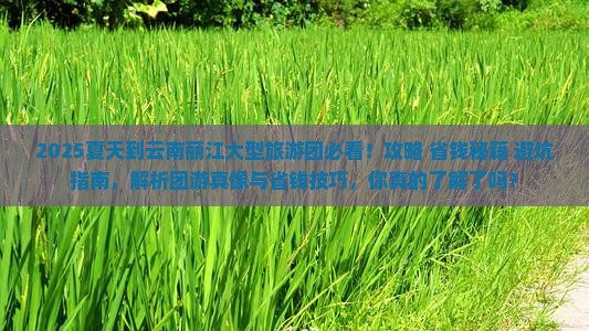 夏天到云南丽江大型旅游团