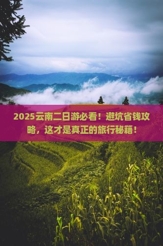 七月到云南二日游