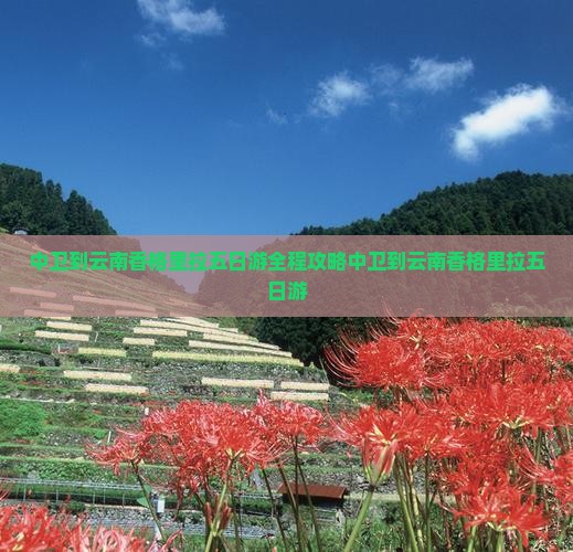 中卫到云南香格里拉五日游