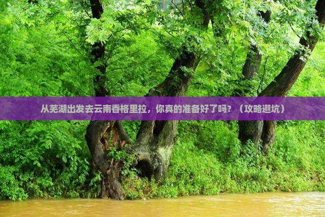 芜湖去云南香格里拉个人游