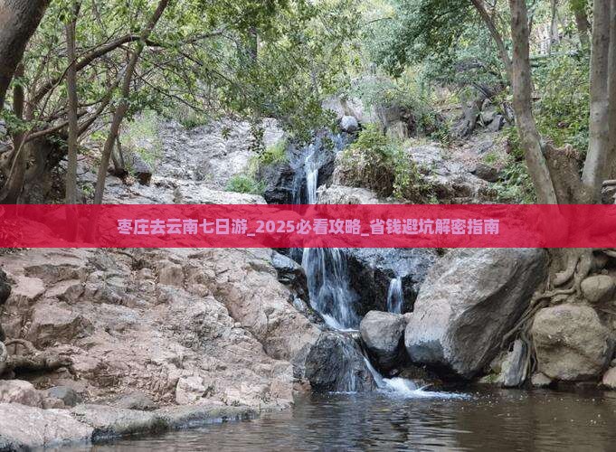 枣庄去云南七日游