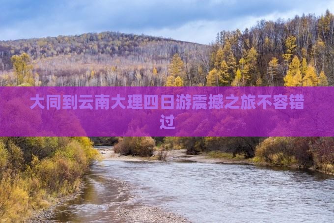 大同到云南大理四日游