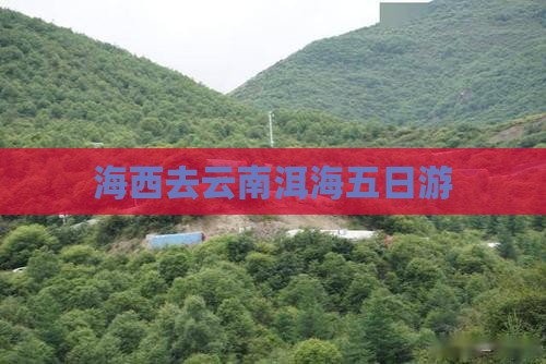 海西去云南洱海五日游