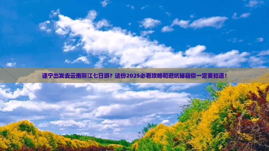 遂宁去云南丽江七日游