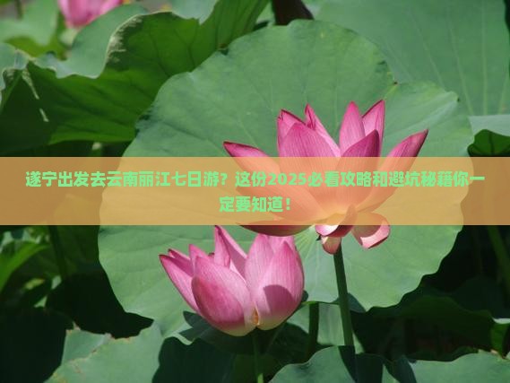 遂宁去云南丽江七日游