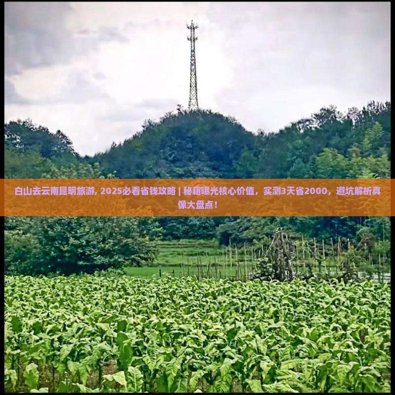 白山去云南昆明旅游