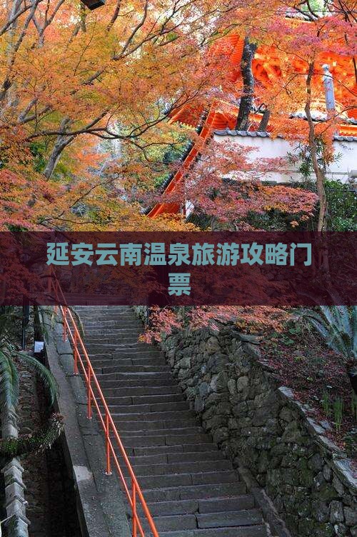 延安去云南温泉门票