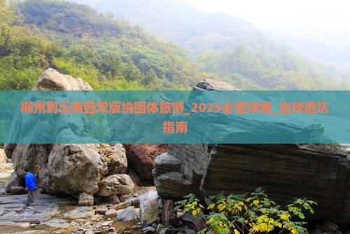 郴州到云南西双版纳团体旅游