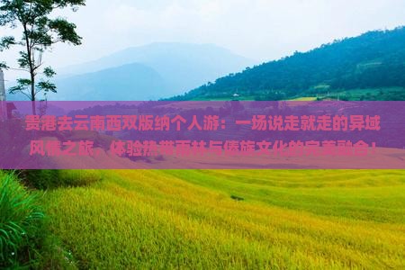 贵港去云南西双版纳个人游