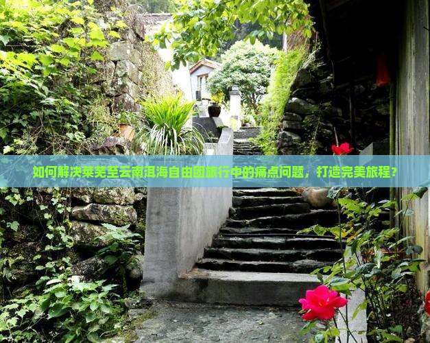 如何解决莱芜至云南洱海自由团旅行中的痛点问题，打造完美旅程？
