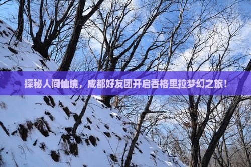 探秘人间仙境,成都好友团开启香格里拉梦幻之旅! 探秘人间仙境,成都好友团开启香格里拉梦幻之旅!
