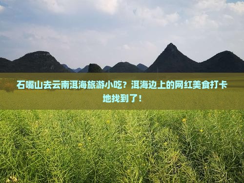 石嘴山去云南洱海旅游小吃？洱海边上的网红美食打卡地找到了！