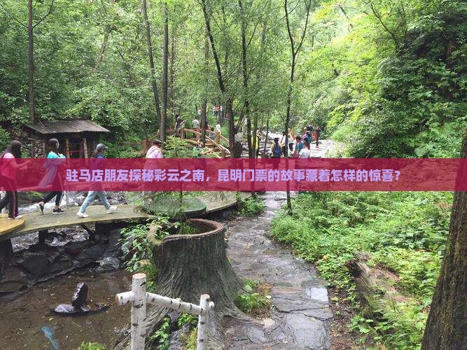驻马店朋友探秘彩云之南，昆明门票的故事藏着怎样的惊喜？