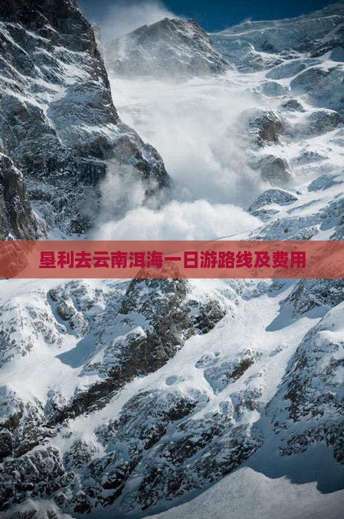 垦利去云南洱海一日游路线及费用