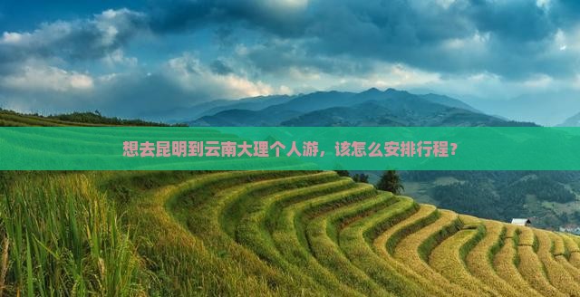 昆明去云南大理个人游