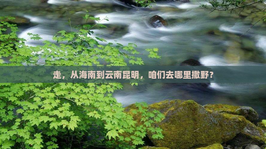 海南去云南昆明哪里玩