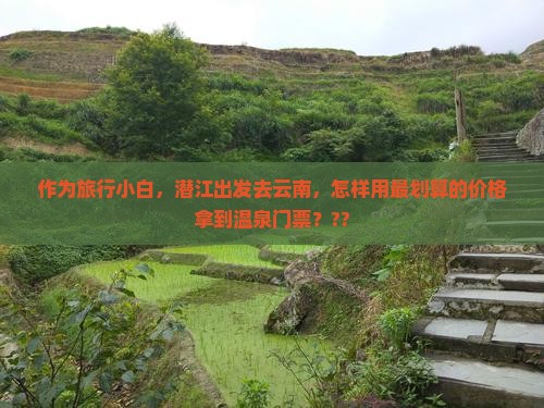 潜江去云南温泉门票