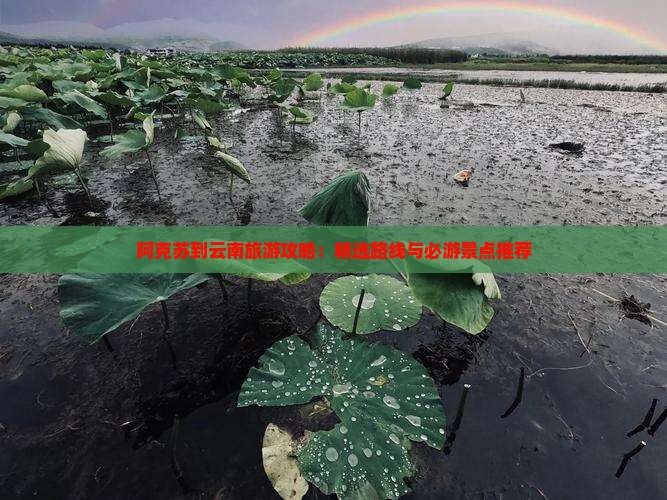 阿克苏去云南攻略
