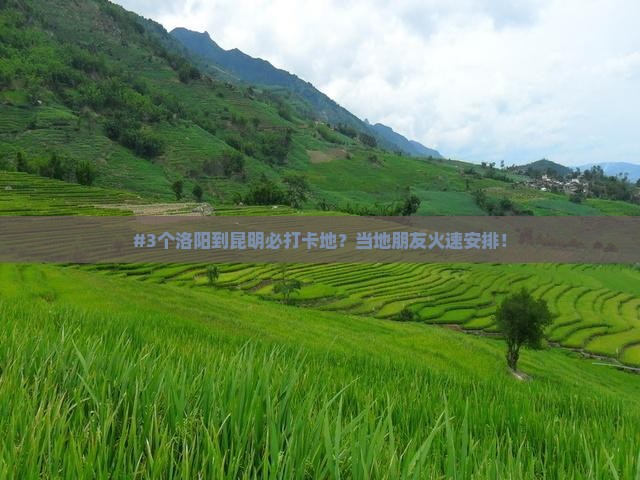 洛阳去云南昆明必去地