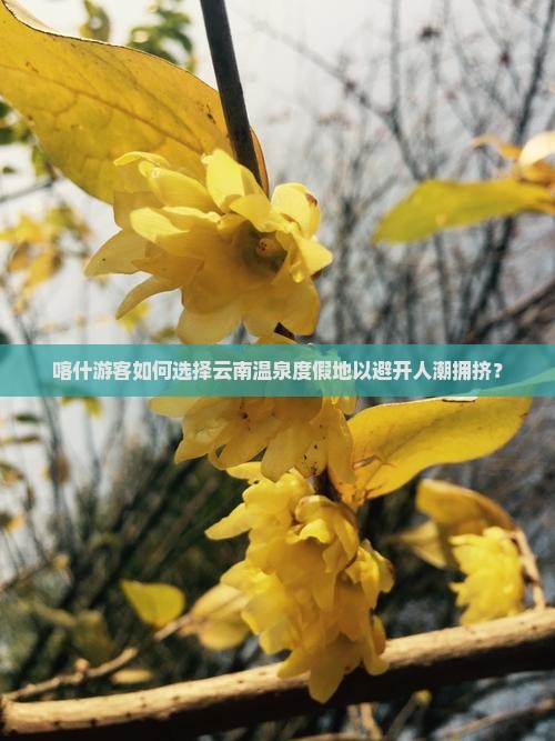 喀什去云南温泉哪里玩