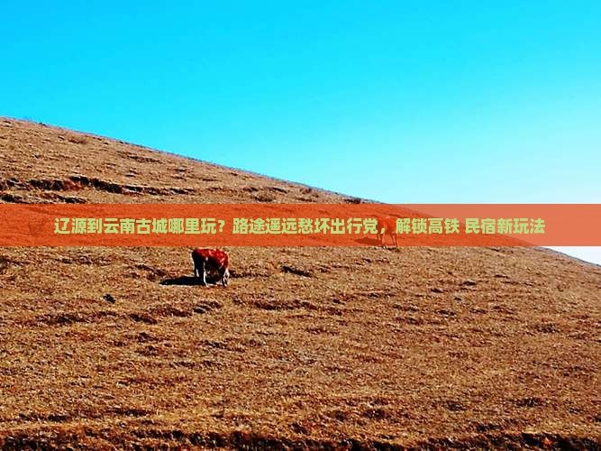 辽源到云南古城哪里玩